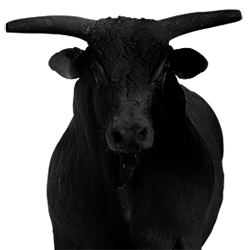 PBR Bull | Top Dollar