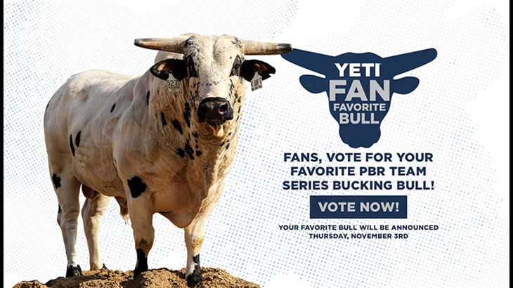 Vote for the YETI Fan Favorite Bull