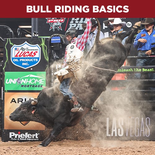 Bull Riding Basics